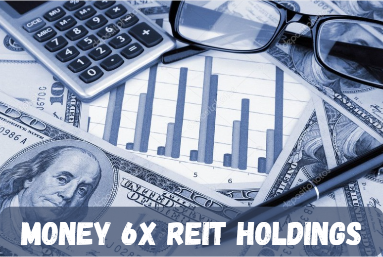 Money 6X REIT Holdings
