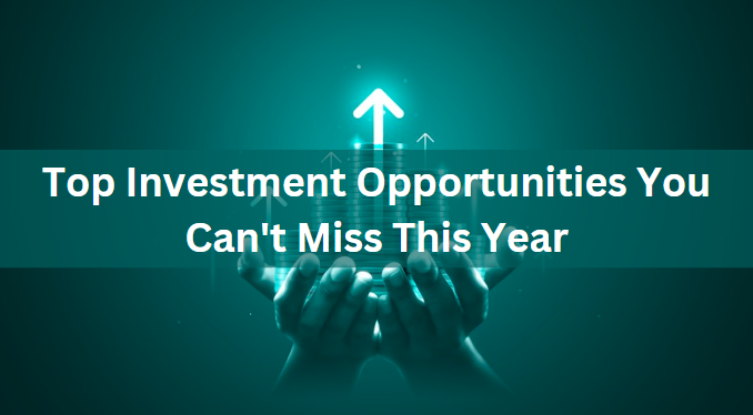 Top Investment Opportunities You Can’t Miss This Year