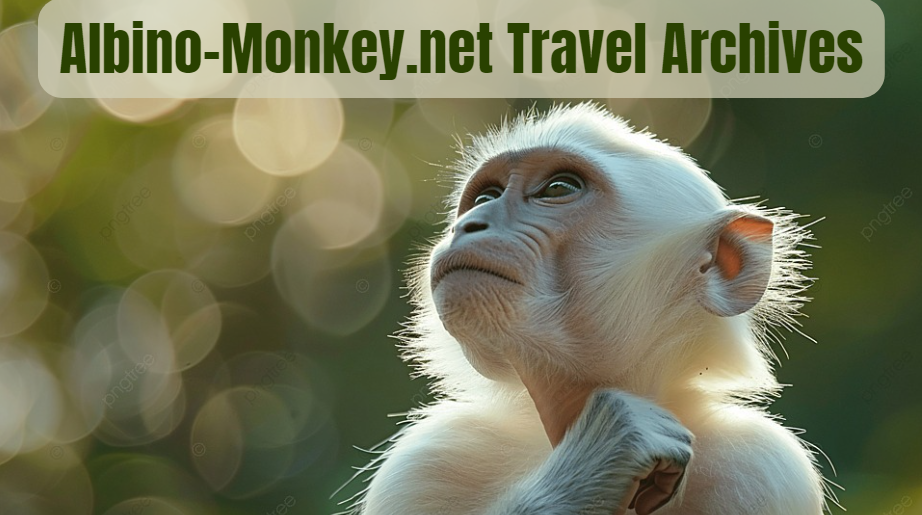 Albino-Monkey.net Travel Archives: Unveiling Hidden Gems Beyond the Tourist Trail