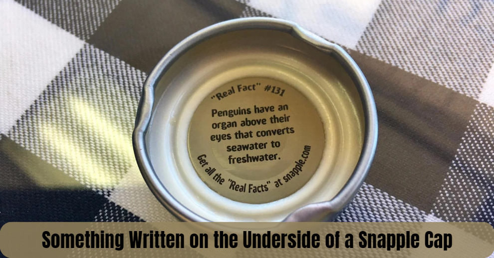 Something Written on the Underside of a Snapple Cap