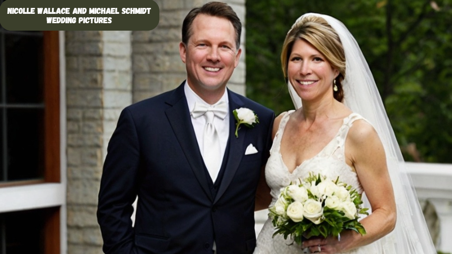 Nicolle Wallace and Michael Schmidt Wedding Pictures: A Detailed Look Beyond the Surface