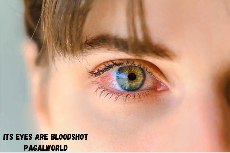 Its Eyes Are Bloodshot Pagalworld